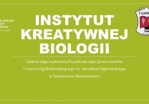 Zdjęcie 1 na 9