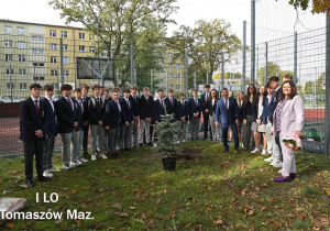Zdjęcie 2 na 14