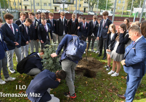 Zdjęcie 1 na 14
