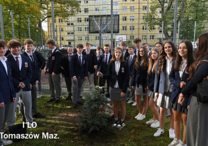 Zdjęcie 7 na 14