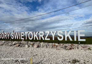 Zdjęcie 7 na 9