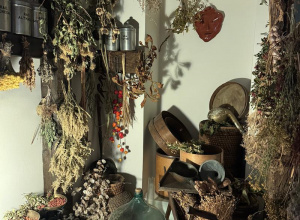 Wyjazd edukacyjny do Centrum Kliniczno-Dydaktycznego Uniwersytetu Medycznego w Łodzi