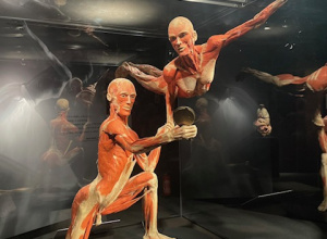 Body Worlds
