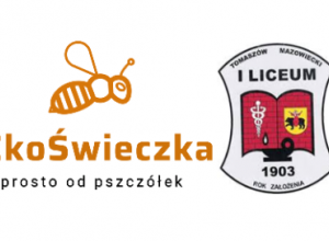 Miniprzedsiębiorstwo EkoŚwieczka